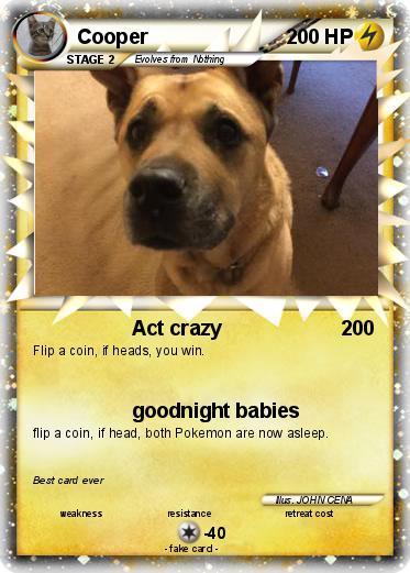Pokemon Cooper