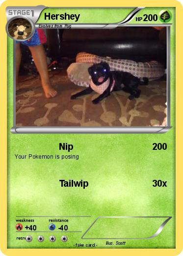 Pokemon Hershey