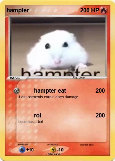 Pokemon hampter