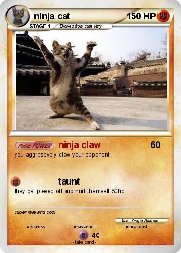 Pokemon ninja cat