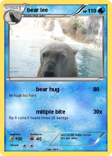 Pokemon bear lee