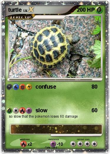 Pokemon turtle