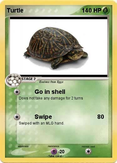 Pokemon Turtle