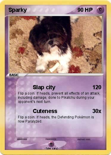 Pokemon Sparky