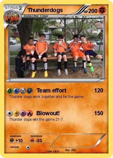 Pokemon Thunderdogs