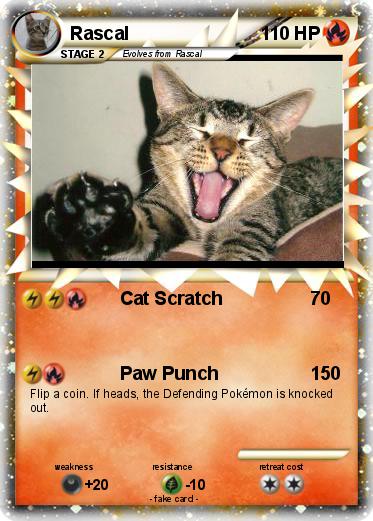 Pokemon Rascal