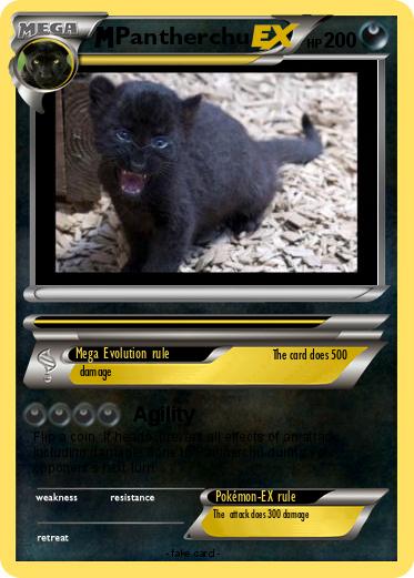 Pokemon Pantherchu
