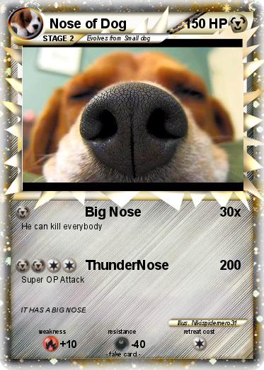 Pokemon Nose of Dog