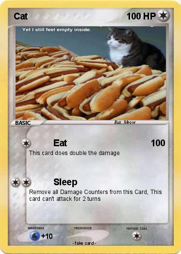 Pokemon Cat