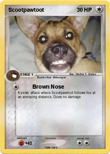 Pokemon Scootpawtoot