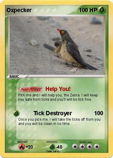 Pokemon Oxpecker