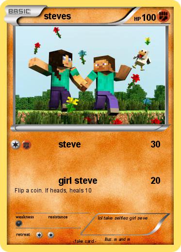 Pokemon steves