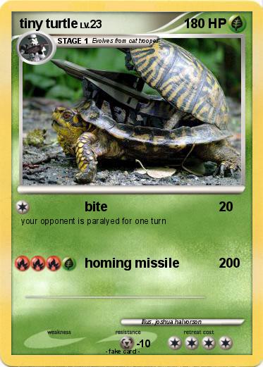 Pokemon tiny turtle