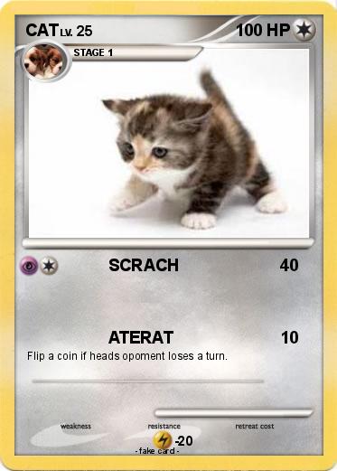 Pokemon CAT
