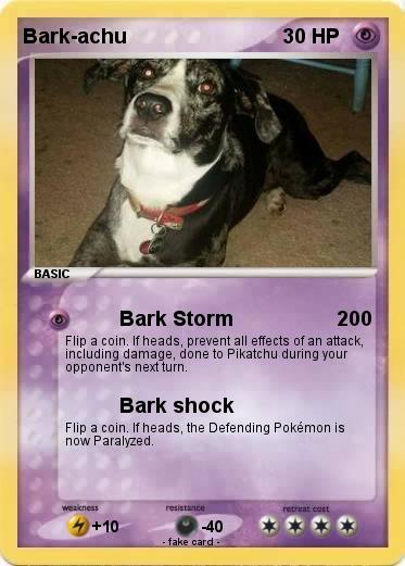 Pokemon Bark-achu