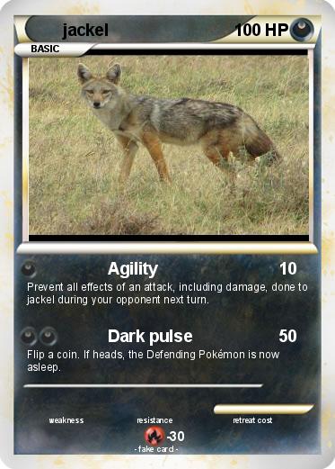 Pokemon jackel
