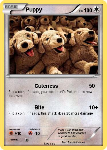 Pokemon Puppy