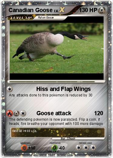 Pokemon Canadian Goose
