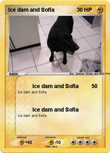 Pokemon Ice dam and Sofia