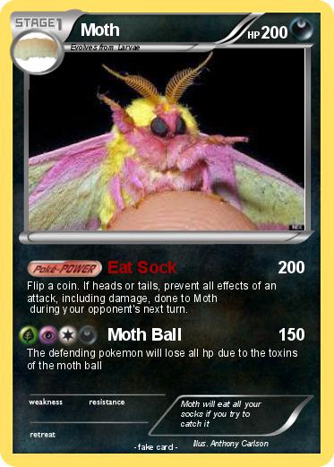 Pokemon Moth