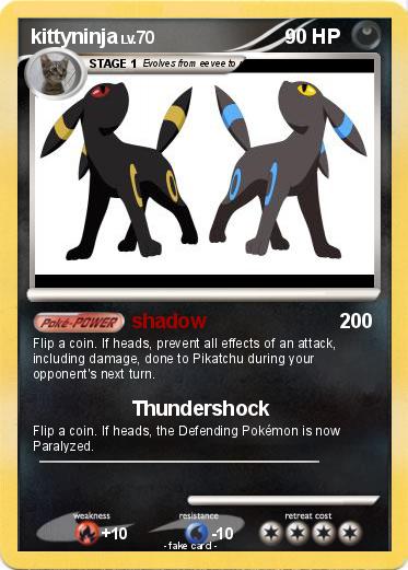 Pokemon kittyninja