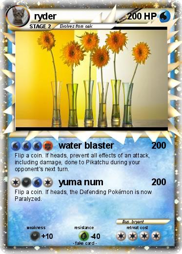 Pokemon ryder