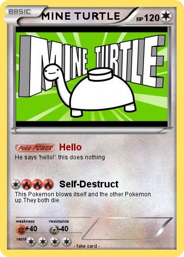 Pokemon MINE TURTLE