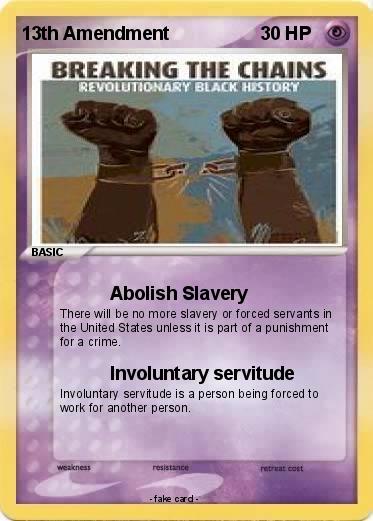 Pokemon 13th Amendment