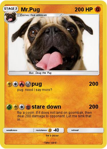 Pokemon Mr.Pug