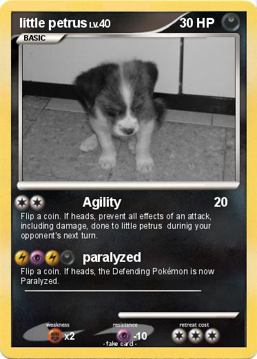 Pokemon little petrus