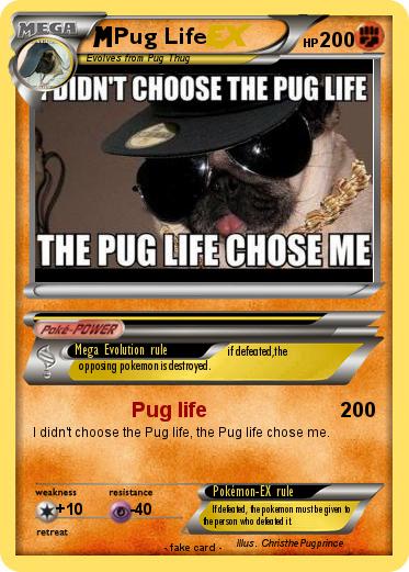 Pokemon Pug Life