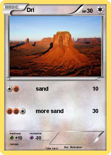 Pokemon Dri
