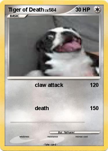 Pokemon Tiger of Death