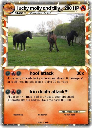 Pokemon lucky molly and tilly