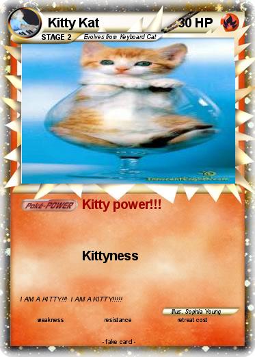Pokemon Kitty Kat