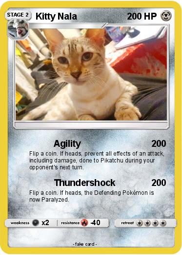 Pokemon Kitty Nala