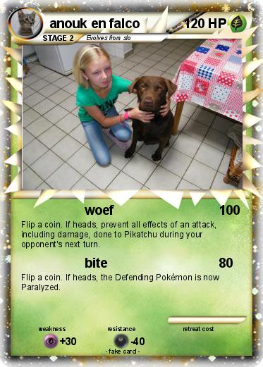 Pokemon anouk en falco