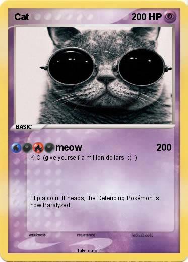 Pokemon Cat