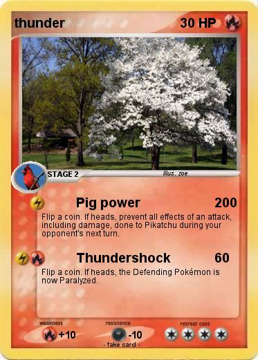 Pokemon thunder