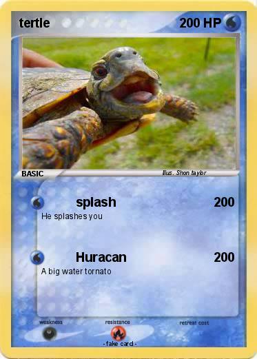 Pokemon tertle