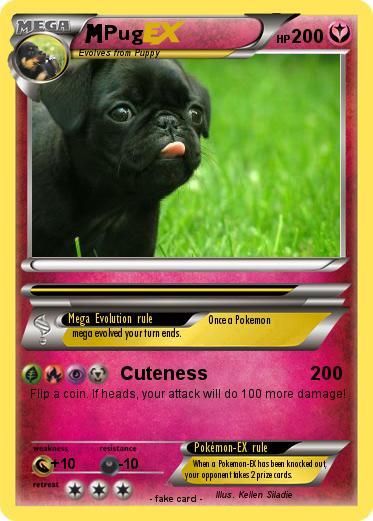 Pokemon Pug