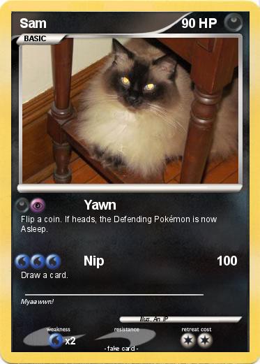 Pokemon Sam
