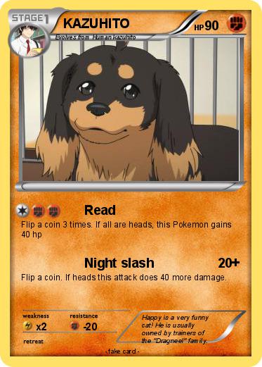 Pokemon KAZUHITO