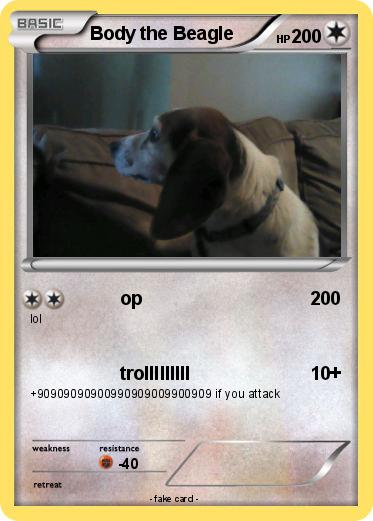 Pokemon Body the Beagle