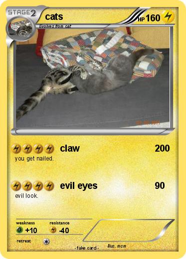 Pokemon cats