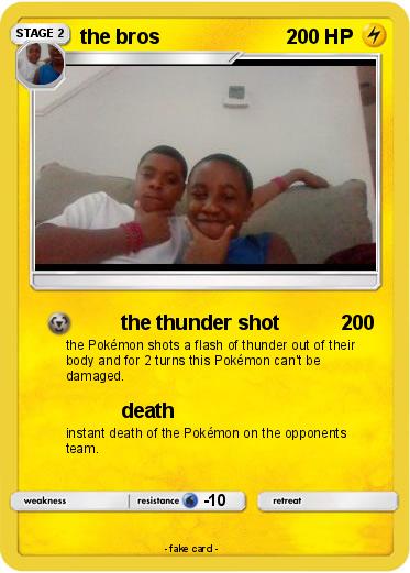 Pokemon the bros