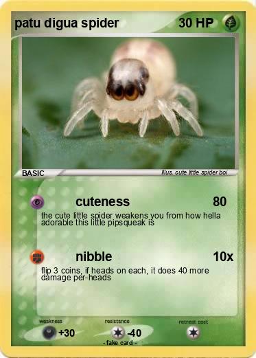 Pokemon patu digua spider