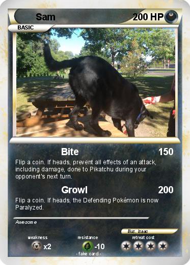 Pokemon Sam