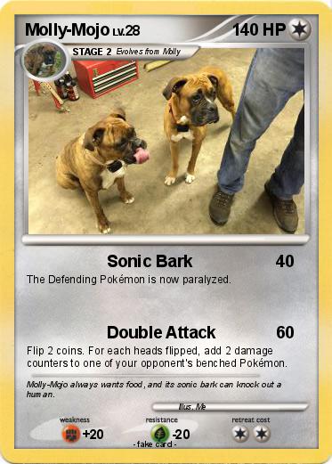 Pokemon Molly-Mojo