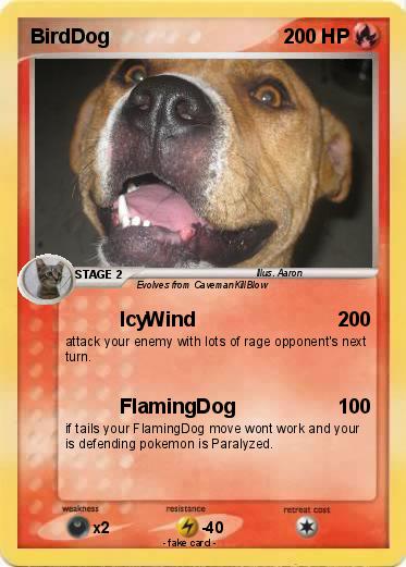 Pokemon BirdDog